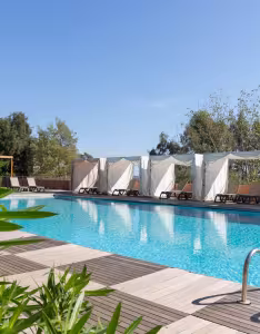 Royal palm piscine