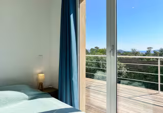 Royal palm vue 2