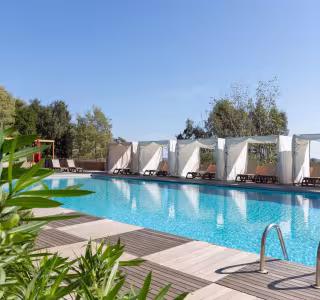 Royal palm piscine