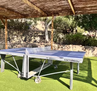 Royal palm ping pong 2