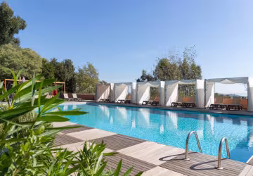 Royal palm piscine