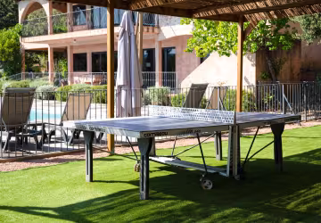 table ping pong