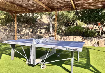Royal palm ping pong 2