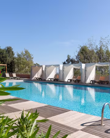 Royal palm piscine