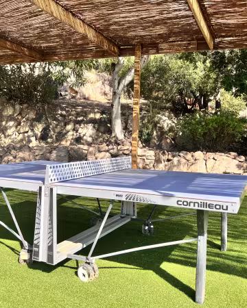 Royal palm ping pong 2