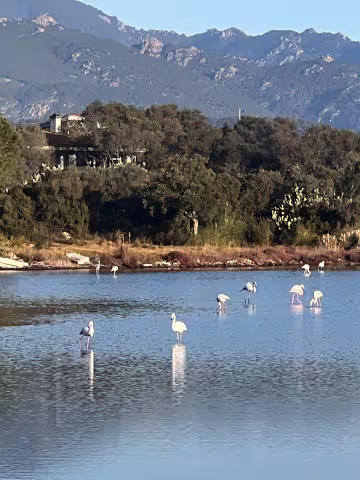 Porto vecchio marais 2