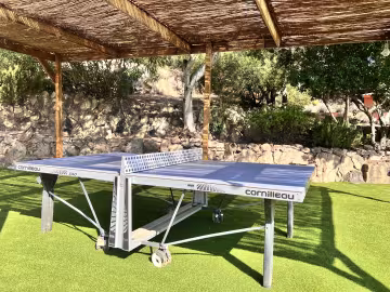 Royal palm ping pong 2