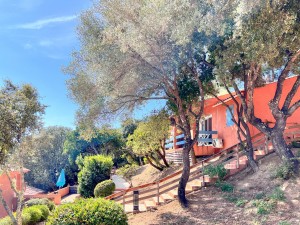 14_residence-royal-palm_exterieur     