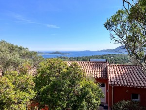 32_residence-royal-palm_     